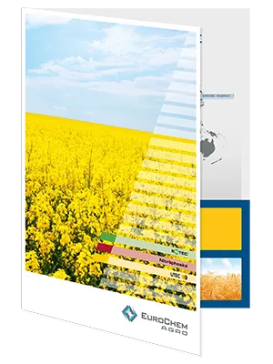 Corporate presentation folder with internal pockets for brochures and inserts.