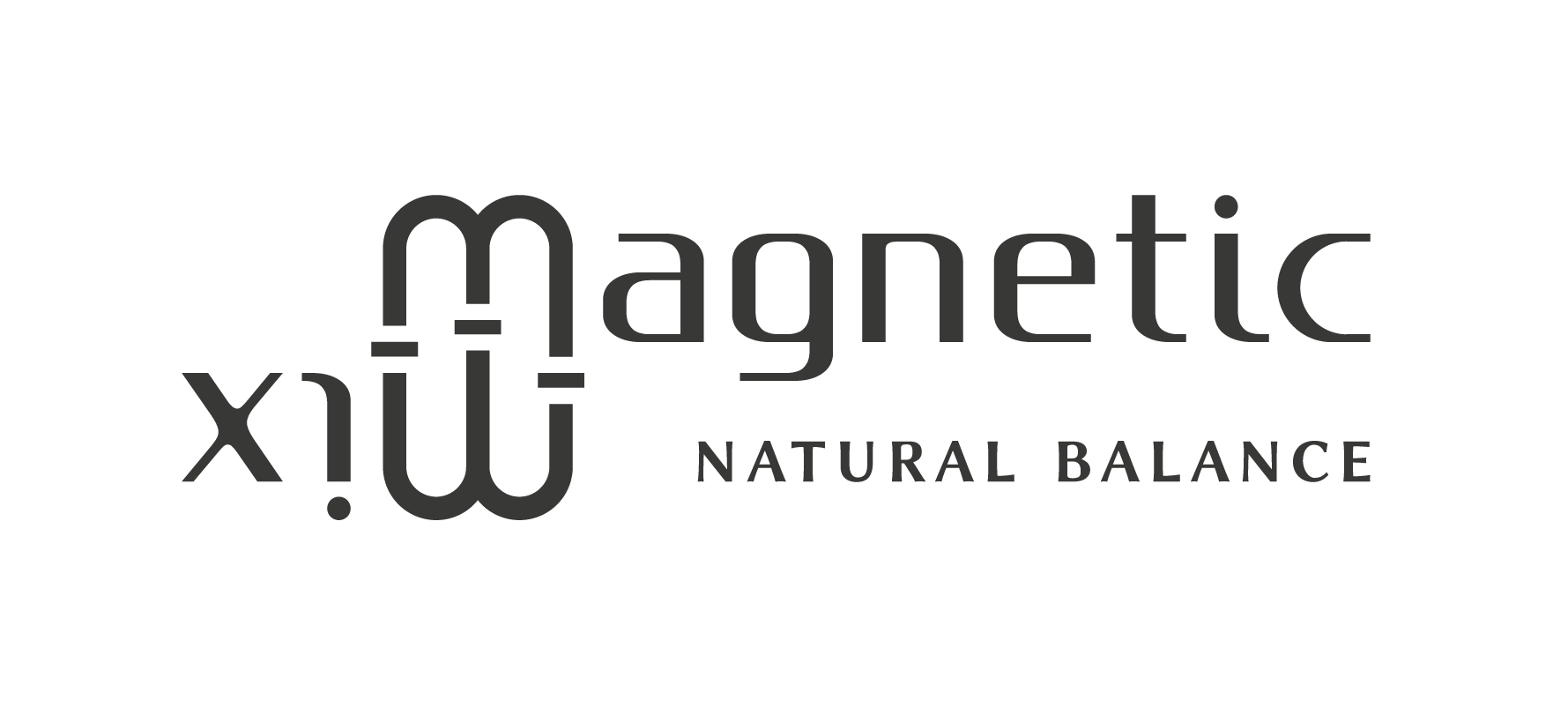 Sound Production & Creative Audio Lab "Magnetic Mix" logo.